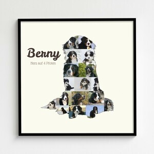 Create Your Berner Sennenhund Photo Collage with Personal Touch