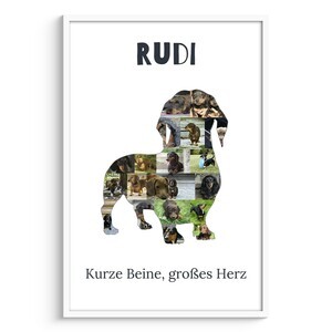 Hunde-Fotocollage "Dackel" erstellen. Eigene Fotos, Namen und Texte.