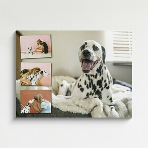 Create Your XXL Alu-Dibond Dog Collage - Personalize & Cherish Forever