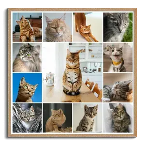 Create your cat photo collage with templates & custom text – print or download