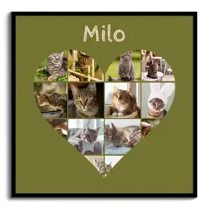 Cat Heart Photo Collage - Create yours now, add your cat's name or custom text