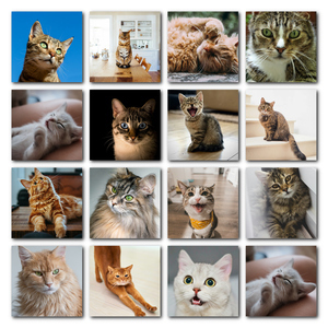 Cat Polaroid Photo Collage - add your cat's name & text; create yours now