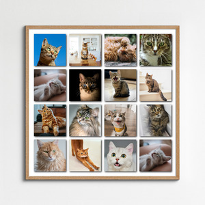 Cat Polaroid Photo Collage - add your cat's name & text; create yours now
