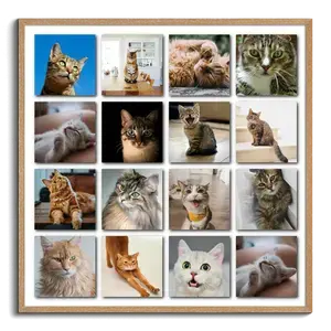 Cat Polaroid Photo Collage - add your cat's name & text; create yours now