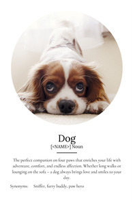 Personalize Your Dog Definition Poster – Cherish Every Adventure & Smile