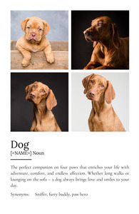 Personalize Your Dog Definition Poster – Cherish Every Adventure & Smile