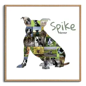 Create Your Personalized American Bully Dog Photo Collage - Add Your Touch!