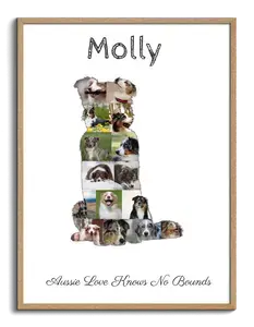 Create Your Own Australian Shepherd Collage - Cherish Your Furry Friend
