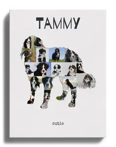 Create Your Berner Sennenhund Photo Collage with Personal Touch