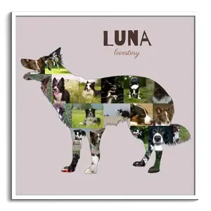 Create Your Custom Border Collie Photo Collage – Perfect Gift for Dog Lovers!