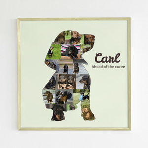 Create Your Custom Dachshund Photo Collage: Cherish Your Pet's Memories