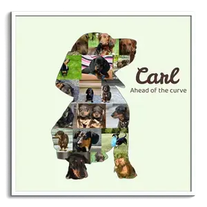 Create Your Custom Dachshund Photo Collage: Cherish Your Pet's Memories