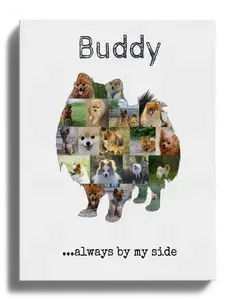 Create a Unique Pomeranian Photo Collage with Your Favorite Photos