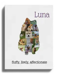 Create a Unique Pomeranian Photo Collage with Your Favorite Photos