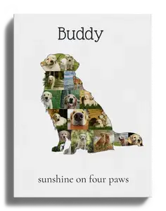 Create Your Golden Retriever Photo Memory