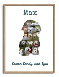 Create Your Maltese Photo Collage - Personalize with Your Pup's Photos and Text