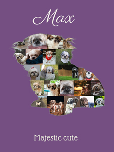 Create Your Own Shih Tzu Photo Collage - Personalize with Your Text