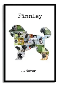 Create Your Own Mini Poodle Photo Collage – Cherish Your Pet Forever