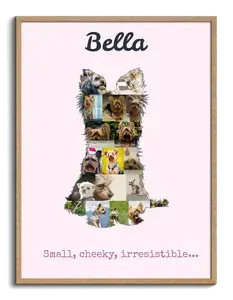 Create Your Own Yorkie Photo Collage: Personalize with Photos and Text