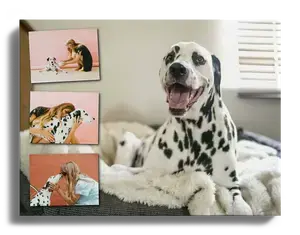 Create Your XXL Alu-Dibond Dog Collage - Personalize & Cherish Forever