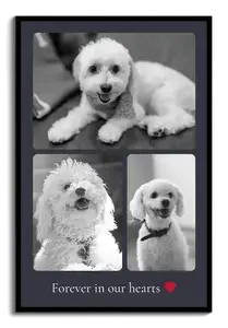 Dog Memorial Photo Collage – Create your own with templates, custom text, name & dates ❤️