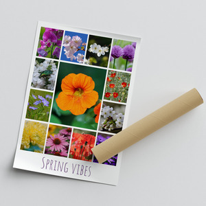 Flower & Plant Photo Collage Print – Create Yours Now, Premium Spring Blooms