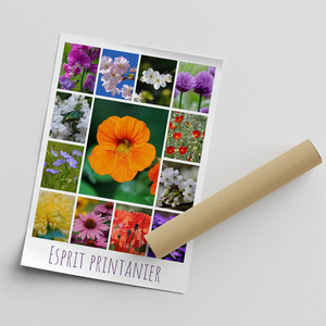 Créez votre collage photo fleurs de printemps – tirage premium Créez votre collage photo fleurs de printemps – tirage premium