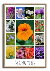 Flower & Plant Photo Collage Print – Create Yours Now, Premium Spring Blooms