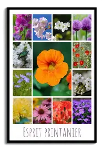 Créez votre collage photo fleurs de printemps – tirage premium