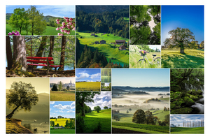 Landscape Photo Collage Prints—Design & Order Yours: Forests, Mountains, Seasons