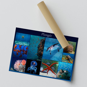 Collage photo animaux marins & plongée – créez et imprimez en qualité premium Collage photo animaux marins & plongée – créez et imprimez en qualité premium