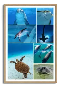 Underwater Photo Collages: Design Your Premium Prints of Sharks, Turtles & Dolphins