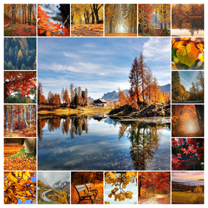 Create Your Photo Collage: Seasonal Nature, Landscape & Wildlife - Premium Prints