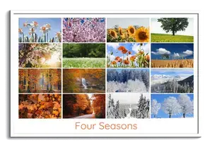 Create Your Photo Collage: Seasonal Nature, Landscape & Wildlife - Premium Prints