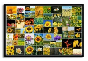 Create Your Wild Flower Collage Poster - Personalize with 61 Photos
