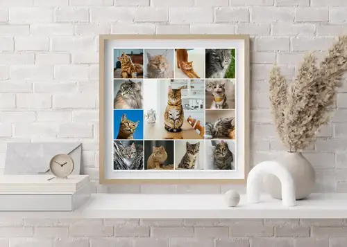 Cat Photo Collage with Custom Texts
