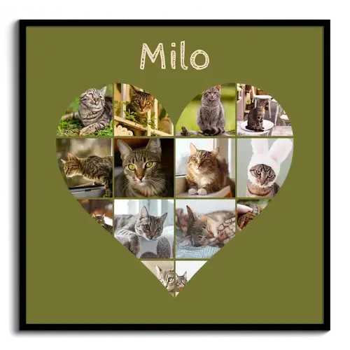 Collage cœur chat avec photos – personnalisez avec nom ou texte