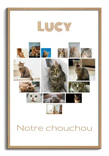 Photos de chat en cœur avec texte personnalisé