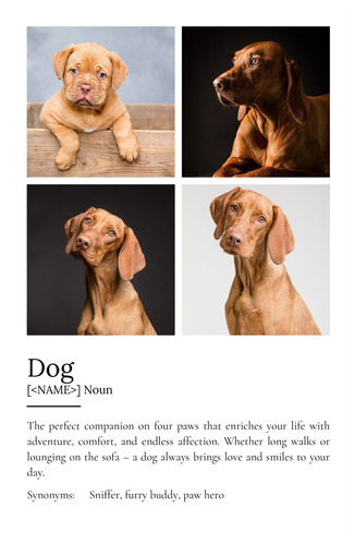 Personalize Your Dog Definition Poster – Cherish Every Adventure & Smile