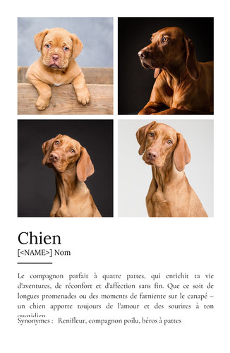 Poster Définition Personnalisé Chien - Créez votre propre hommage canin