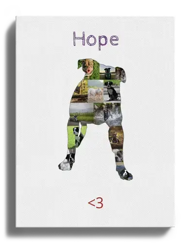 Create Your Personalized American Bully Dog Photo Collage - Add Your Touch!
