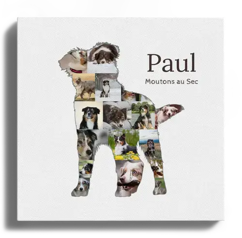 Collage Silhouette Berger Australien Personnalisée