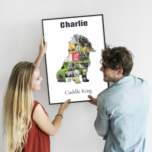 Create Your Bolonka Zwetna Photo Collage: Personalized Pet Keepsake