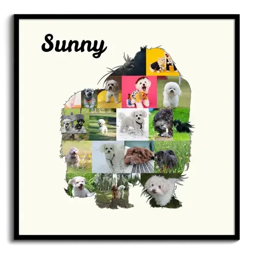 Create Your Bolonka Zwetna Photo Collage: Personalized Pet Keepsake