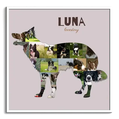 Create Your Custom Border Collie Photo Collage – Perfect Gift for Dog Lovers!