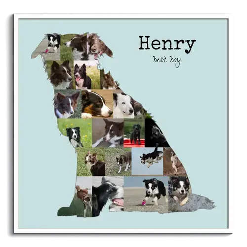 Create Your Custom Border Collie Photo Collage – Perfect Gift for Dog Lovers!