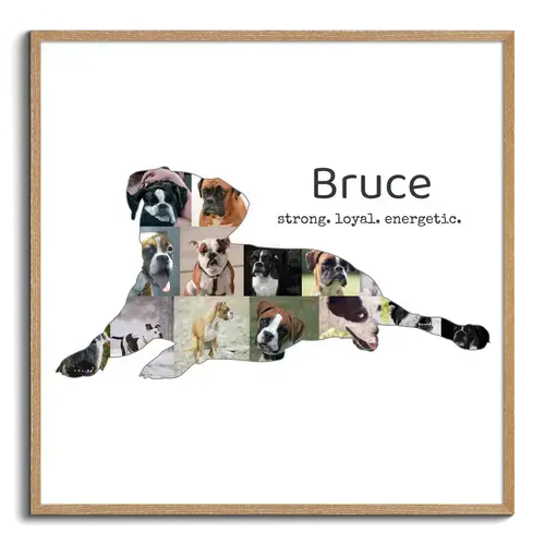 Create Your Custom Boxer Silhouette Photo Collage - Personalize with Text & Colors