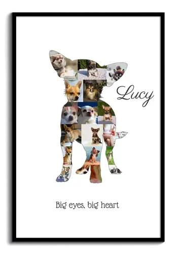 Create Your Unique Chihuahua Dog Photo Collage Keepsake