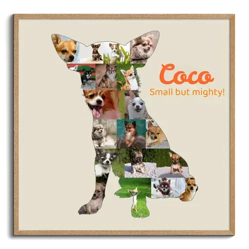 Create Your Unique Chihuahua Dog Photo Collage Keepsake