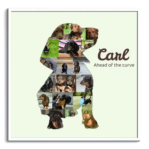 Create Your Custom Dachshund Photo Collage: Cherish Your Pet's Memories
